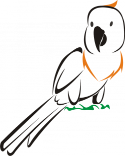 Free Download Burung Kakatua Vector - Kumpulan Logo Lambang Indonesia
