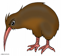 28+ Collection of Kiwi Clipart Bird | High quality, free cliparts ...