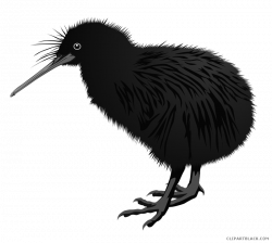 Kiwi Bird Clipart - ClipartBlack.com