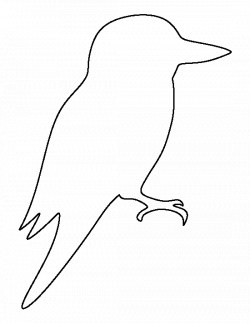 Kookaburra pattern. Use the printable outline for crafts, creating ...