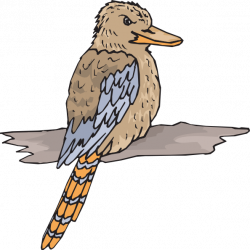 Kookaburra Clip Art at Clker.com - vector clip art online, royalty ...