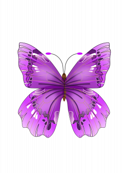 Purple Butterfly - June Flowers Clip Art | Video Description: http ...