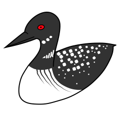 PNG Loon Transparent Loon.PNG Images. | PlusPNG