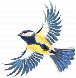 Flying Bird Transparent PNG Clip Art Image | Gallery Yopriceville ...