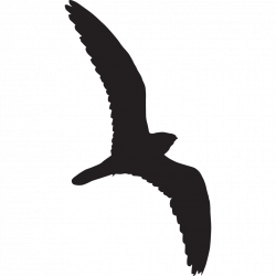 Silhouette Of Birds In Flight at GetDrawings.com | Free for personal ...