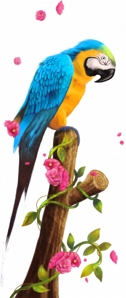 Parrot Nest Bird Clip art - parrot,Bako 3199*7546 transprent Png ...