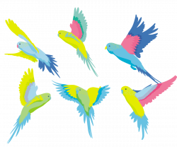 Budgerigar Bird Parrot Parakeet Clip art - Colored bird parrot 1200 ...