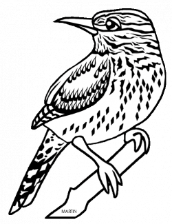 cactus wren coloring page arizona state bird coloring page united ...