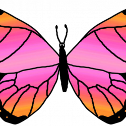 Free Butterfly Clipart bird clipart hatenylo.com