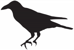 Crow Silhouette PNG Clip Art Image | Sewing | Pinterest | Crow ...