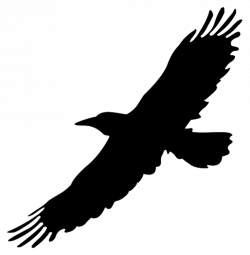 Flying Hawk Silhouette at GetDrawings.com | Free for personal use ...