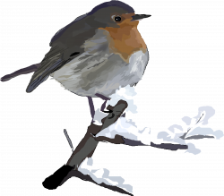 28+ Collection of Winter Robin Clipart | High quality, free cliparts ...