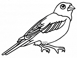 United States Clip Art by Phillip Martin, Colorado State Bird - Lark ...