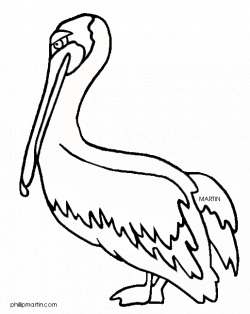 Louisiana State Bird Clipart