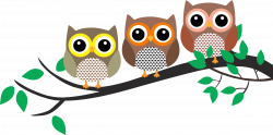 Clipart - Three Owls in a tree