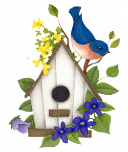 2ff573b2.png | Applique | Pinterest | Bird houses, Bird and Birdhouse