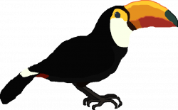 Image - Toco Toucan.png | All Birds Wiki | FANDOM powered by Wikia
