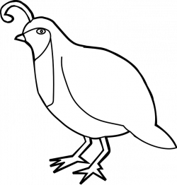 Quail Clipart Partridge#3829250
