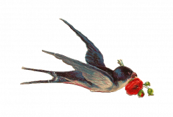 Vintage Bird transparent PNG - StickPNG