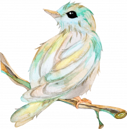 Bird Owl Beak Clip art - Bird branches 1637*1664 transprent Png Free ...