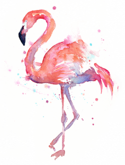 Pink Flamingo. | Summer | Pinterest | Pink flamingos, Flamingo and ...