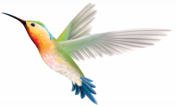 Hummingbird clipart web clipart - Clipartix | Animals | Pinterest ...