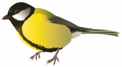 Yellow Bird PNG Clipart Image | Gallery Yopriceville - High-Quality ...