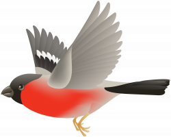 Red Flying Bird Transparent Clip Art Image | Gallery Yopriceville ...