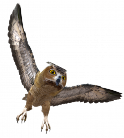 Owl in Flight PNG Clipart | Gallery Yopriceville - High-Quality ...
