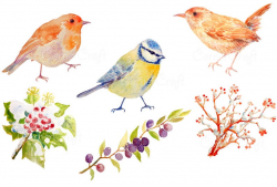 Watercolor clipart British garden birds