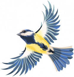 Flying Bird Transparent PNG Clip Art Image | Tiere transparent ...