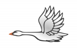 Swan in Flight - Flying Swan - Rooweb Clipart