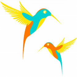 Clipart - Colibri Birds