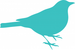 Medium Turquoise Bird Clipart Png - Clipartly.comClipartly.com