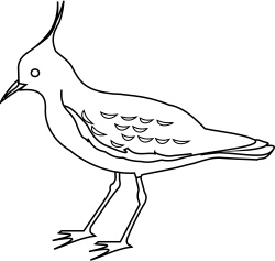 Outline Drawings Of Birds#5176471 - Shop of Clipart Library