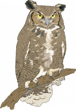 Clipart - Hibou Grand-duc - Eagle Owl