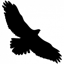 Red Tailed Hawk Silhouette at GetDrawings.com | Free for personal ...