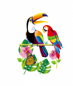 Parrot Bird Toucan - Flowers parrot 909*1071 transprent Png Free ...