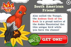 Andean Cock of the Rock | Tiny Zoo Wiki | FANDOM powered by Wikia
