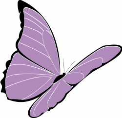 Clipart - purple butterfly