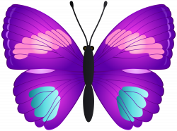 Butterfly Transparent PNG Clip Art | Gallery Yopriceville - High ...