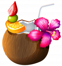 Exotic Coconut Cocktail PNG Clipart | Gallery Yopriceville - High ...