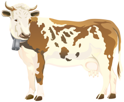 Cow PNG Clip Art Image | Gallery Yopriceville - High-Quality Images ...