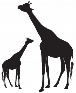 Giraffes Silhouette PNG Clip Art Image | Gallery Yopriceville ...