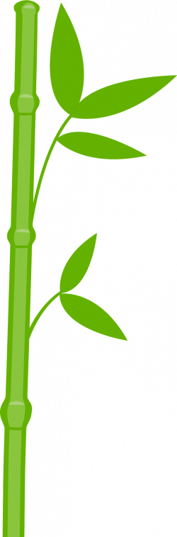 Panda Bear 1 - bamboo1.png - Minus | already felt- flowers, nature ...