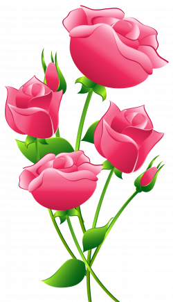 Pink Roses Transparent PNG Clip Art Image | Gallery Yopriceville ...