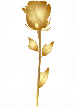 Beautiful Gold Rose PNG Clip Art Image | Gallery Yopriceville ...