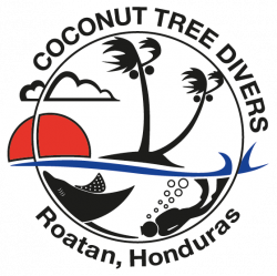 New Page — Coconut Tree Divers | PADI Scuba diving in Roatan, Honduras