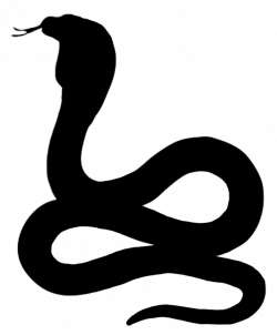 snake silhouette | Zoo animals unit | Pinterest | Silhouettes ...