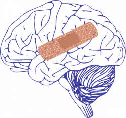 Brain With Bandaid Clip Art at Clker.com - vector clip art online ...